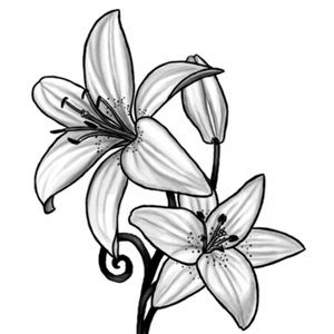 Meet your Posher, Athena